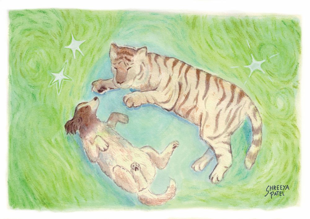 Snugsnowprint - large