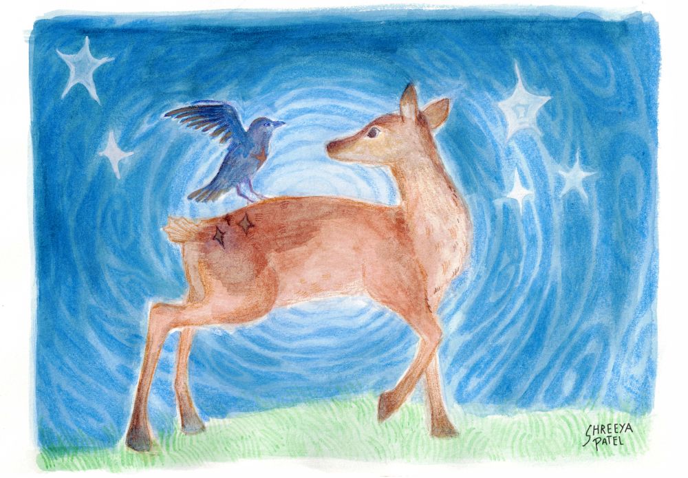 Deer - Night