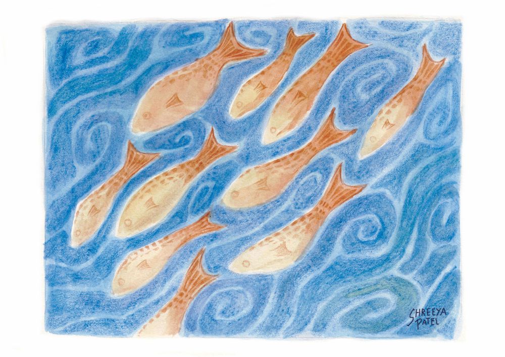 fishprintborder - large