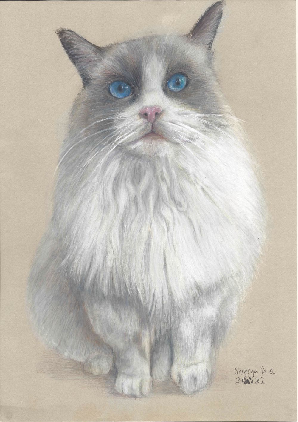 shreeya-cat-jan2021-tint large